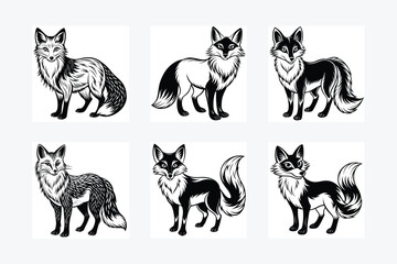 Six fox illustrations in black and white on a white background