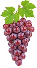 Fototapeta premium 宝石の房