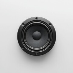 Black Round Speaker Driver on White Background audio