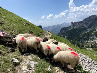 Wanderung im Rofangebirge