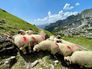 Wanderung im Rofangebirge
