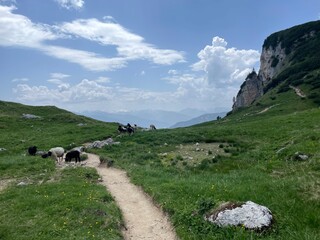 Wanderung im Rofangebirge