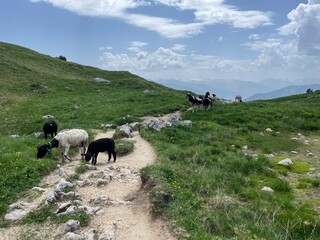 Wanderung im Rofangebirge