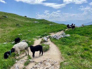 Wanderung im Rofangebirge