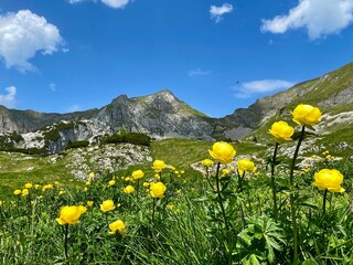 Wanderung im Rofangebirge