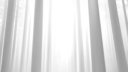 Obraz premium Misty Forest: Light Through Trees