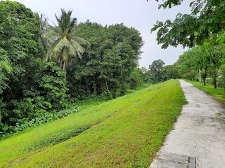 nature in Singapore