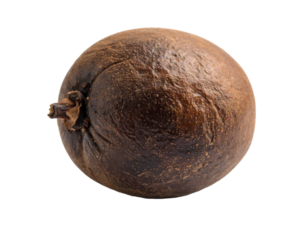 Close-up of Dried Lo Han Guo Fruit