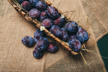 Close-up of a basket filled with ripe plums in deep blue color, placed on a rustic surface