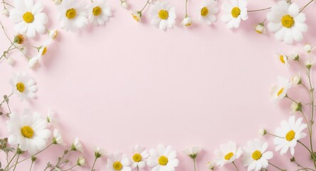 Obraz premium Daisy Frame on Pink Background