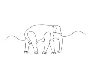 Wild elephant outline drawing illustration. one continuous line drawing of elephant.