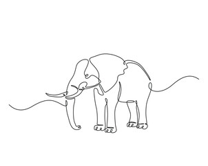 Wild elephant outline drawing illustration. one continuous line drawing of elephant.