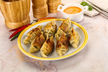 Japanese fried Gyoza stuffed dumplings