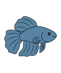 Blue Betta Fish Illustration