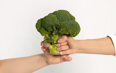 Two women holding broccoli in hands, isolated on white background. Females promoting healthy...