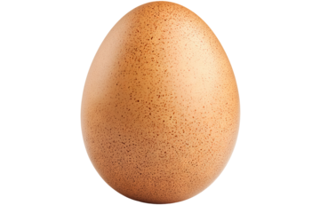 High-resolution brown chicken egg on transparent background, realistic cut-out for food packaging mock-ups, culinary blog graphics, breakfast menu design, and farm-fresh branding visuals