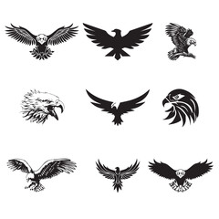 Eagle vector image