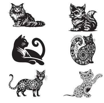 cat vector imagr