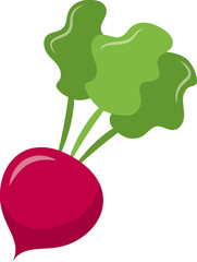 Vegetable Illustration