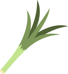 Vegetable Illustration