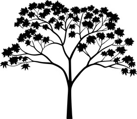 Obraz premium maple tree silhouette vector illustration.eps