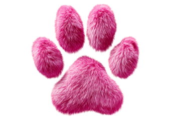 Pink fluffy paw print cute pet animal design,On Transparent Background, Isolated on white