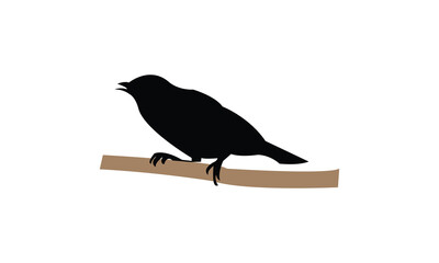 Ambon white-eye bird Silhouette Design  And Vector Illustration. 