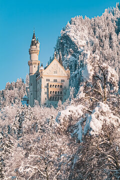 Neuschwanstein Castle