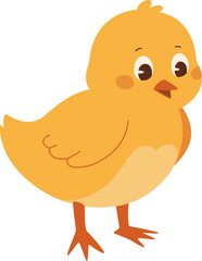Cute Cartoon Chick Illustration


