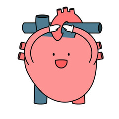 正解を示す心臓のイラスト