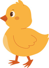 Cute Cartoon Chick Illustration

