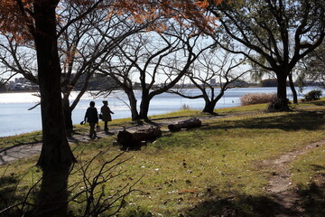 湖畔を散策する二人連れ　