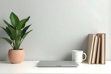 Clean Minimalist Workspace with Green Plant and Notebooks and laptop.