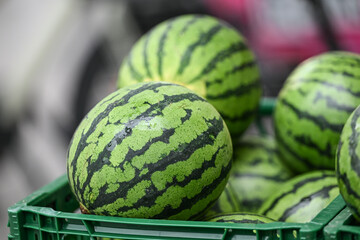 fruit watermelon pasteque