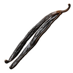Vanilla bean pod isolated on transparent background