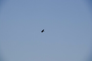 Obraz premium Depending on your needs and budget, Japan has a variety of tourist attractions