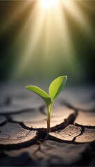 Young Plant Growing Through Cracked Earth — Resilience, Nature, Hope, and Survival