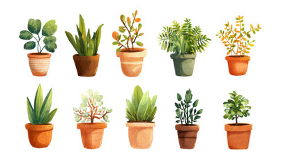 Collection of potted houseplants