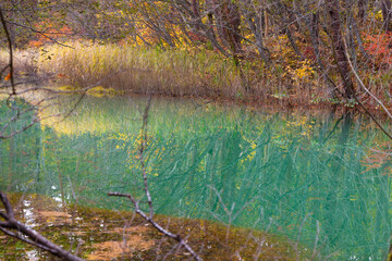 Bishamon-numa Pond is the largest and most popular pond. The colorful pond reflecting sunlight is a highlight of a visit to Goshikinuma Ponds, located in the Urabandai area, Fukushima, Japan