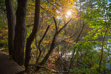 Naklejka premium Bishamon-numa Pond is the largest and most popular pond. The colorful pond reflecting sunlight is a highlight of a visit to Goshikinuma Ponds, located in the Urabandai area, Fukushima, Japan