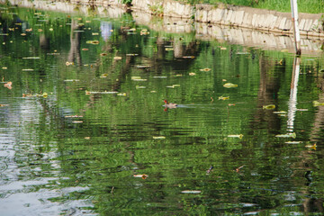 It is a peaceful Japanese city