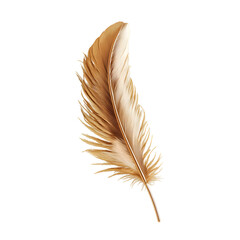 A realistic, delicately detailed golden feather with a metallic sheen, floating gracefully in mid-air against a simple white background.