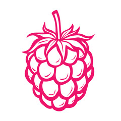 Pink Raspberry Line Art Illustration