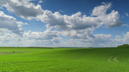 Fototapeta premium Expansive Lush Green Fields Spread Under a Bright and Beautiful Sky Filled with Clouds Time lapse.
