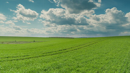 Lush, verdant fields stretch wide beneath a vibrant blue sky adorned with a cloudy horizon Time...