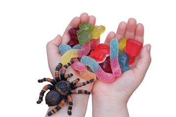 Childs Hands Holding Gummy Worms with Spider, Halloween Candy, isolated on White Background