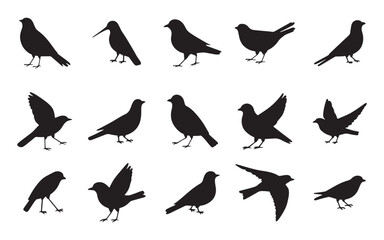 Bird Silhouettes in Various Poses on White Background.eps