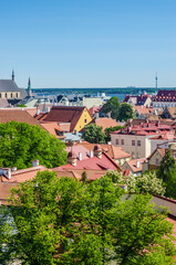 Fototapeta premium Scenic Tallinn rooftops view with red tiles and Baltic Sea in the distance. High quality photo