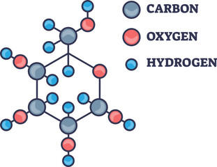 A diagram of a glucose molecule (C6H12O6) showing its hexagonal ring structure. A legend identifies the carbon, oxygen, and hydrogen atoms, representing a simple sugar and energy source.