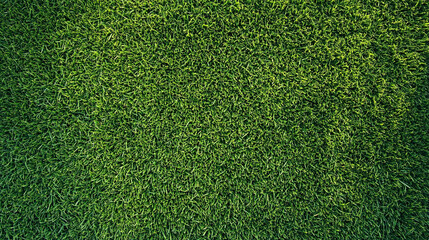 Top-down view of a lush green lawn with thick, neatly trimmed grass. Vibrant meadow texture under warm morning sunlight, ideal for park, garden, or eco-friendly nature backgrounds.

